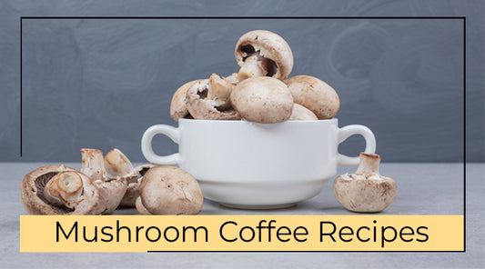 mushroom coffee recipe - mycohealthco