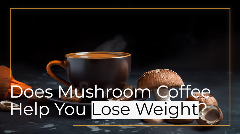 Does Mushroom Coffee Help You Lose Weight? - Myco Health