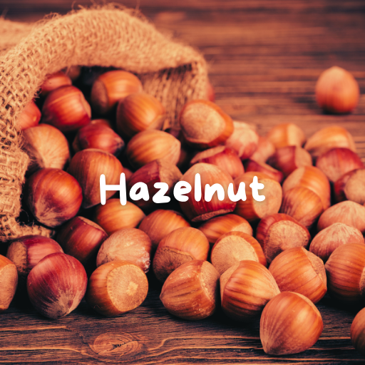 Hazelnut Coffee: Perfect Blend of Nutty Flavors & Brazilian Coffee