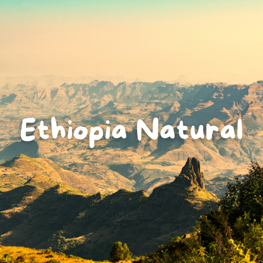 Ethiopia Natural coffee: Experiencing Pure Deligh